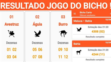 resultado bahia hoje jogo do bicho,resultados da para todos de hoje